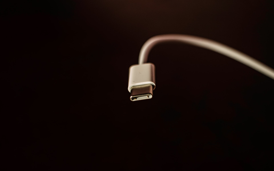 Câble USB Lightning - Câble iPhone Court - Charge Fast - Câble